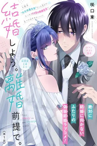 Kekkon shiyou. Rikon zentei de.
