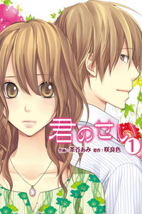 Kimi no Sei