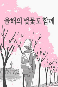 Cherry Blossoms