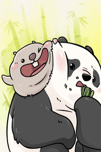 Compañeros de bambu