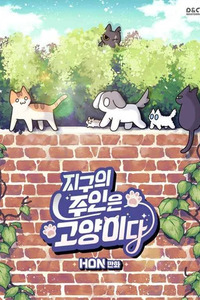 Cats Own the World