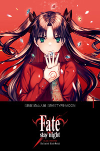 Fate/stay night [Unlimited Blade Works]