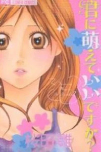 Kimi ni Moete Ii Desu ka