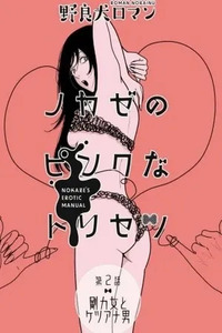 Nokaze no Pink na Torisetsu